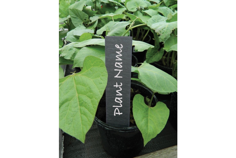 Ashortwalk Plant label set of 5 Extra Long Slate effect Made from recycled Pla 