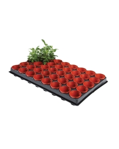 Professional Seed and Cutting Tray (40 x 6cm Pots)