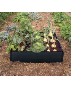 Grow Bed