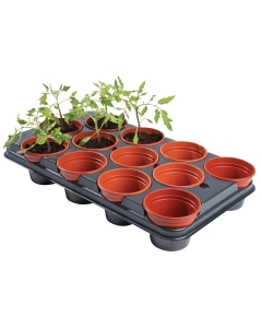 Professional Growing Tray (12 x 11cm Pots)