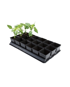 Professional Vegetable Tray (18 x 9cm Sq Pots)