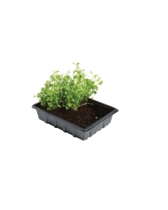Professional Half Seed Tray (Pack of 5)