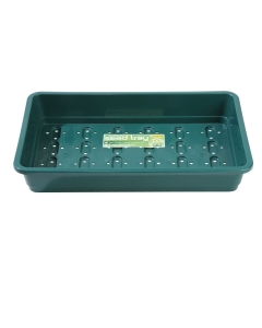 Standard Seed Tray Green With Holes