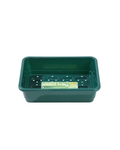 Small Seed Tray Green With Holes