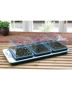 Big 3 Automatic Temperature Control Electric Propagator