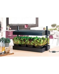 Grow Light Garden Black