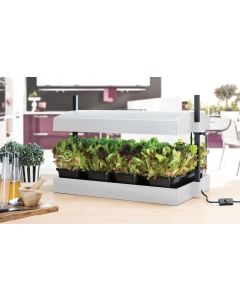 Grow Light Garden White