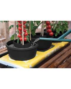 Plant Halos (Set of 3) Black