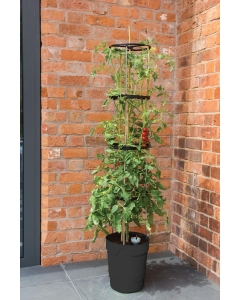 Self Watering Grow Pot Tower Anthracite