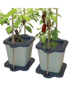 Cane Grip Grow Pots (Set of 2)