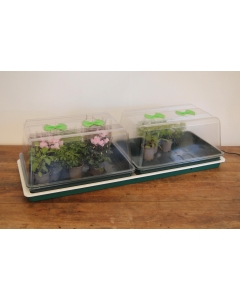 Double High Top Variable Temperature Control Electric Propagator