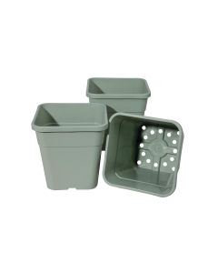 21cm Square Mini Tom Pots Sage (3)