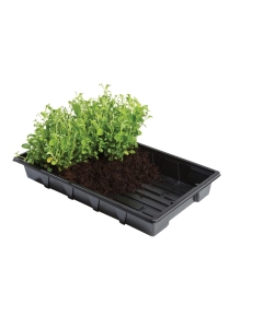 Professional Gravel Trays (Pack of 5)