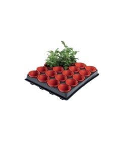 Professional Mini Seed and Cutting Tray (20 x 6cm Pots)