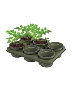 Bio-Based Growing Tray (6 x 12cm Pots)