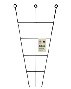 Plant Support Trellis Fan 60cm H x 30cm W