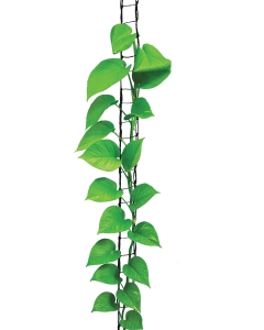 3m Jute Plant Ladder Green