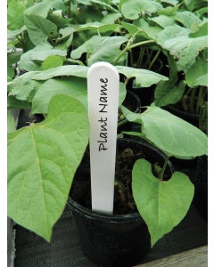 20cm (8") White Plant Labels (20)
