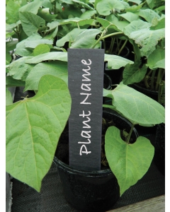 13cm (5") Slate Plant Labels (5)