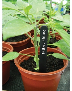 10cm (4") Black Plant Labels (25)
