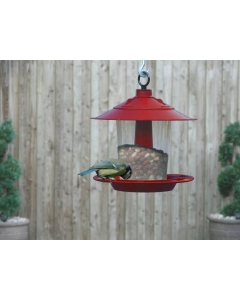 Lantern Bird Seed & Nut Feeder Red
