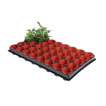 Professional Seed and Cutting Tray (40 x 6cm Pots)