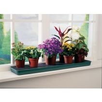 Self Watering Windowsill Plant Tray