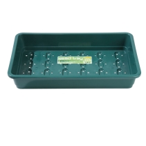 Standard Seed Tray Green With Holes