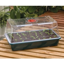 Large High Dome Propagator