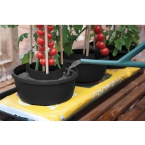 Plant Halos (Set of 3) Black