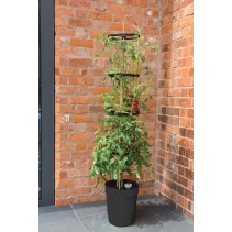 Self Watering Grow Pot Tower Anthracite