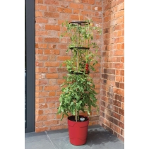 Self Watering Grow Pot Tower Red