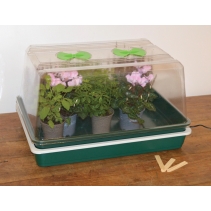 Single High Top Variable Temperature Control Electric Propagator