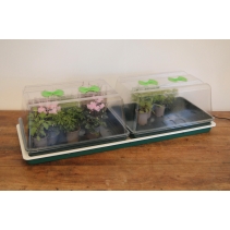 Double High Top Variable Temperature Control Electric Propagator