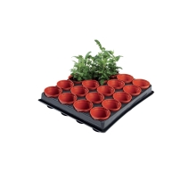 Professional Mini Seed and Cutting Tray (20 x 6cm Pots)