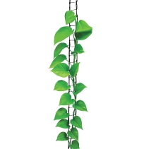 3m Jute Plant Ladder Green