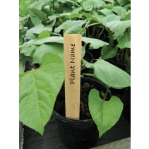 10cm (4") Wooden Plant Labels (10)