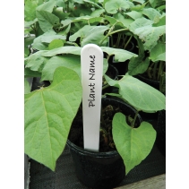 10cm (4") White Plant Labels (25)