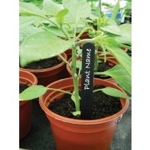 10cm (4") Black Plant Labels (25)