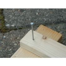 65mm (2 1/2") Galvanised Nails (100g)