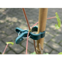 Small Spring Plant Clips (5)