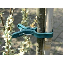Large Spring Plant Clips (5)