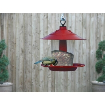 Lantern Bird Seed & Nut Feeder Red