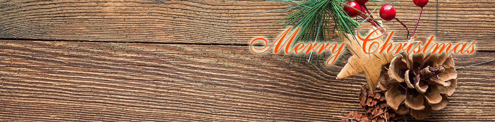 Our new Deep Root Seed Success Kit for 2024