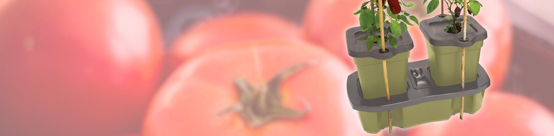 New Duogrow Self Watering Planter For 2024