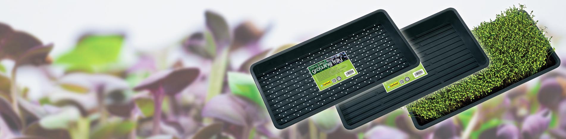 New Double Depth Micro Greens Growing Trays