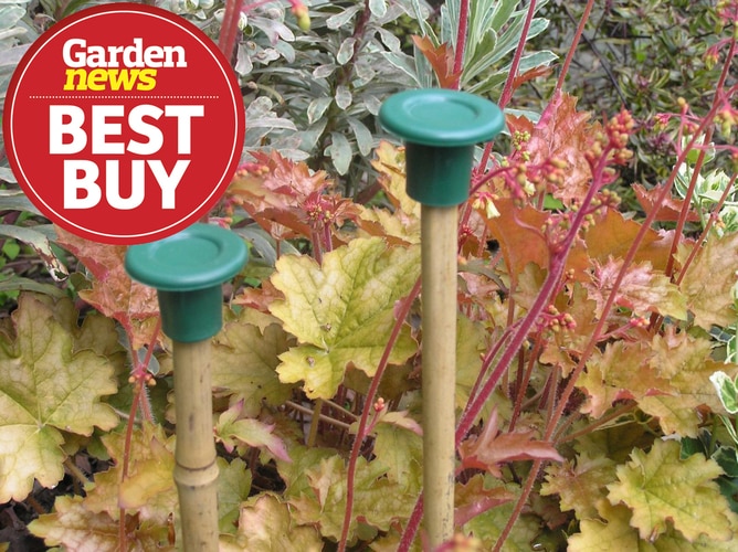 Garland Cane Caps win Garden News Best Buys