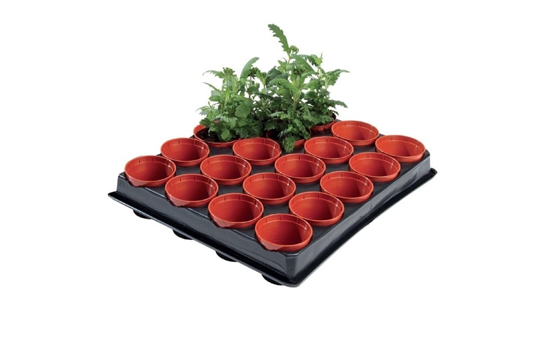 Professional Mini Seed & Cutting Tray