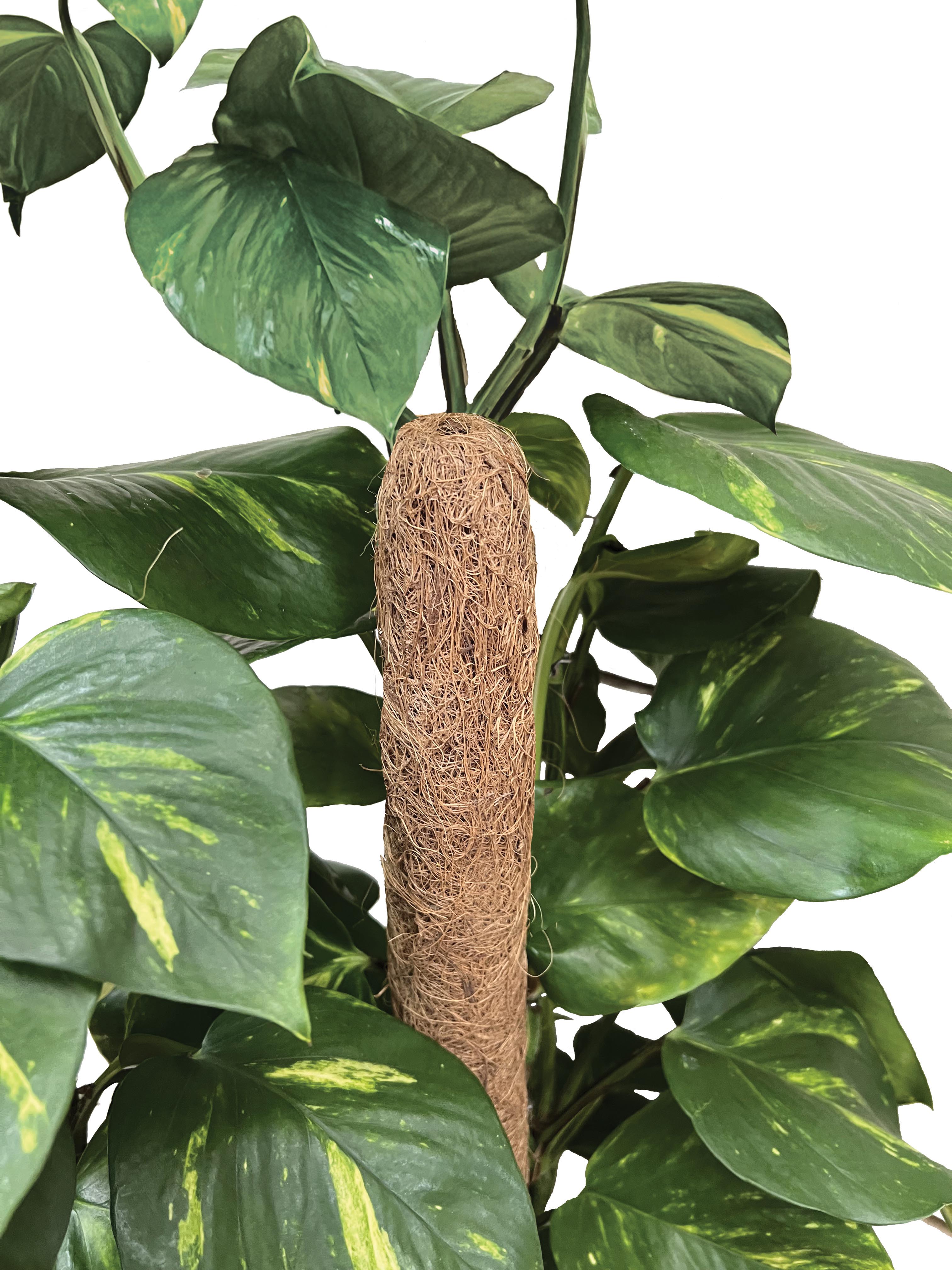 Garland New Products 2025