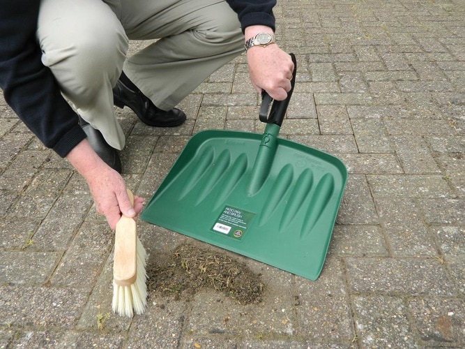 Patio Pan & Brush